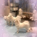 もみじいるよ?♡