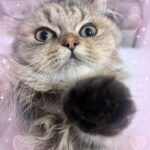 しお早めに到着しました！！