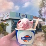 こんにちは?ねろです❕