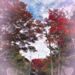 きゅる池袋到着してます?