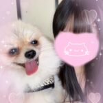 おはようゆるです??