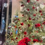 きゅる、到着しました?