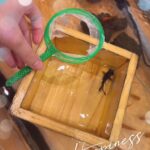 おはよーゆるです??