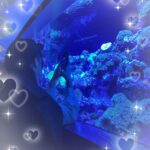 きゅる到着しました?