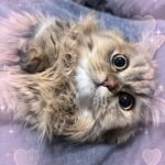 しお到着してます！