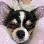 てら到着しました〜！